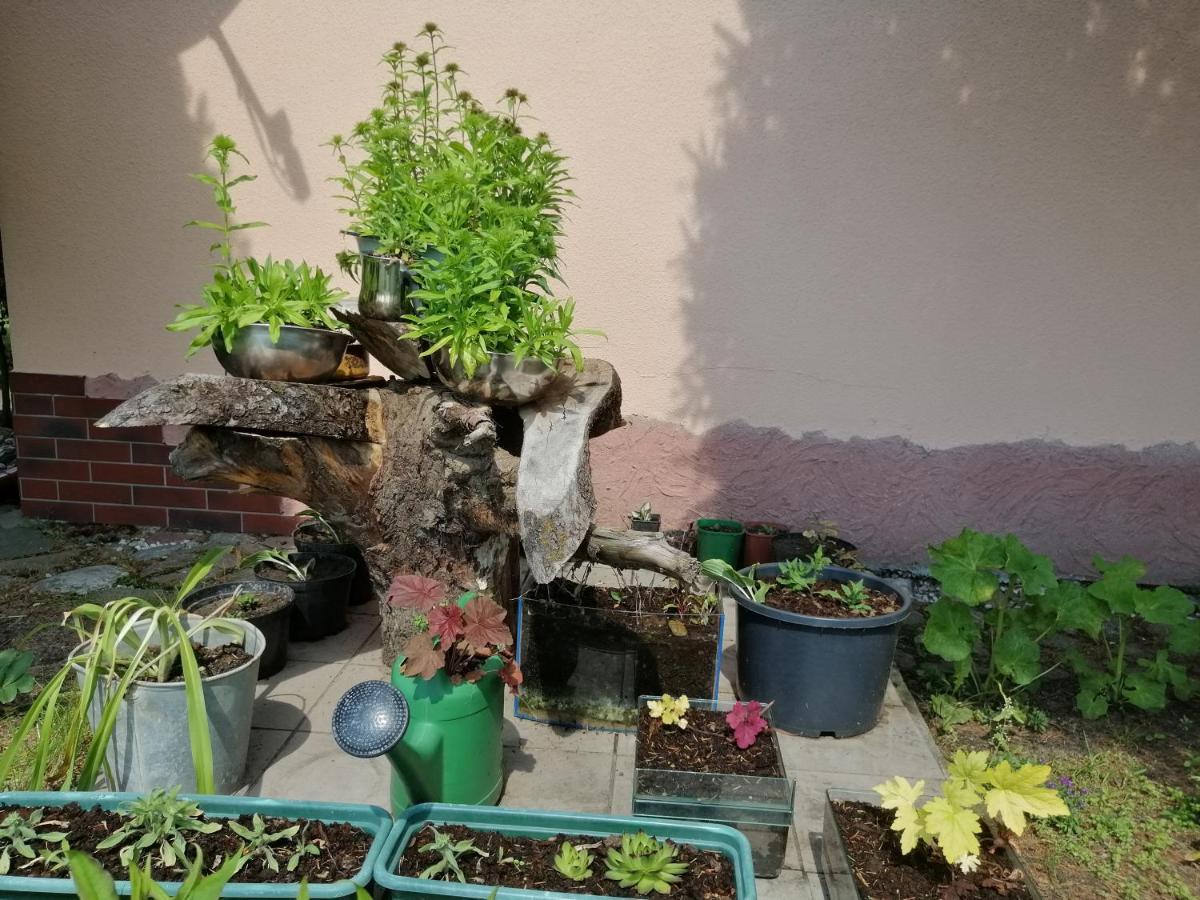 אוגוסטוב Mv Apartamenty Komfort מראה חיצוני תמונה